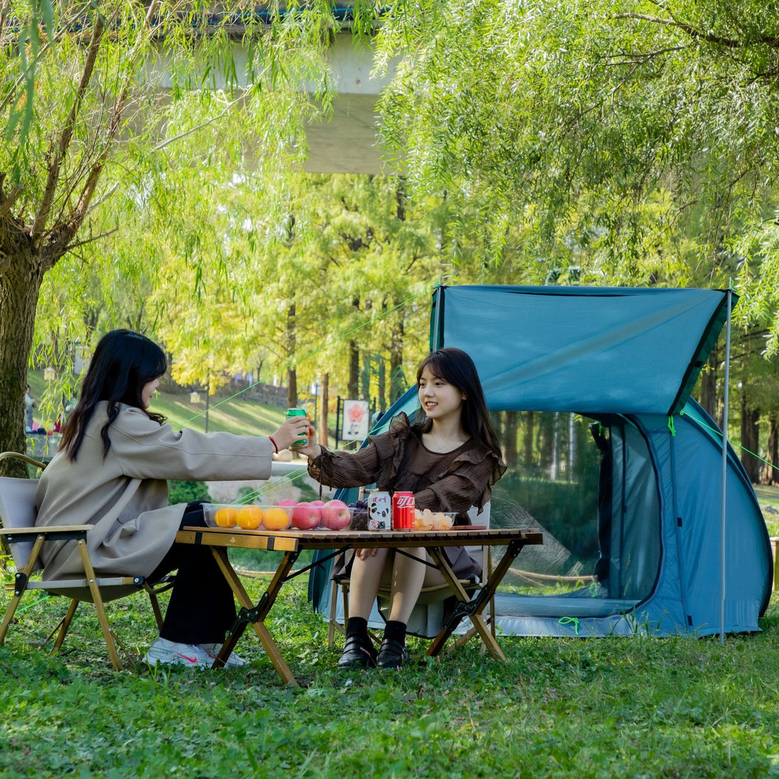 Single-Layer Automatic Pop-Up Camping Tent For Outdoor Use